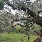 Casa Di Heidi