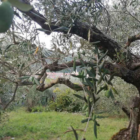 Casa Di Heidi